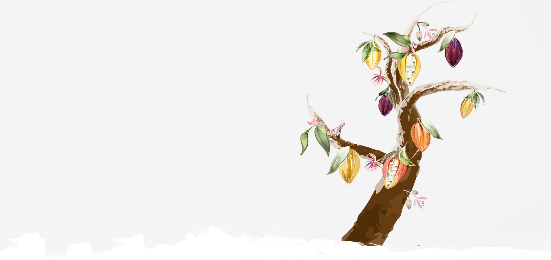 High quality chocolate is born with love and passion